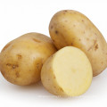 2021 New Season Fresh Vegetable Exporter With International Certificationss Fresh Potato